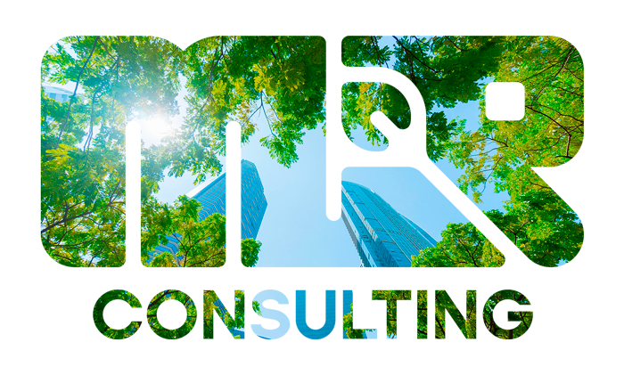 Logo MIR Consulting